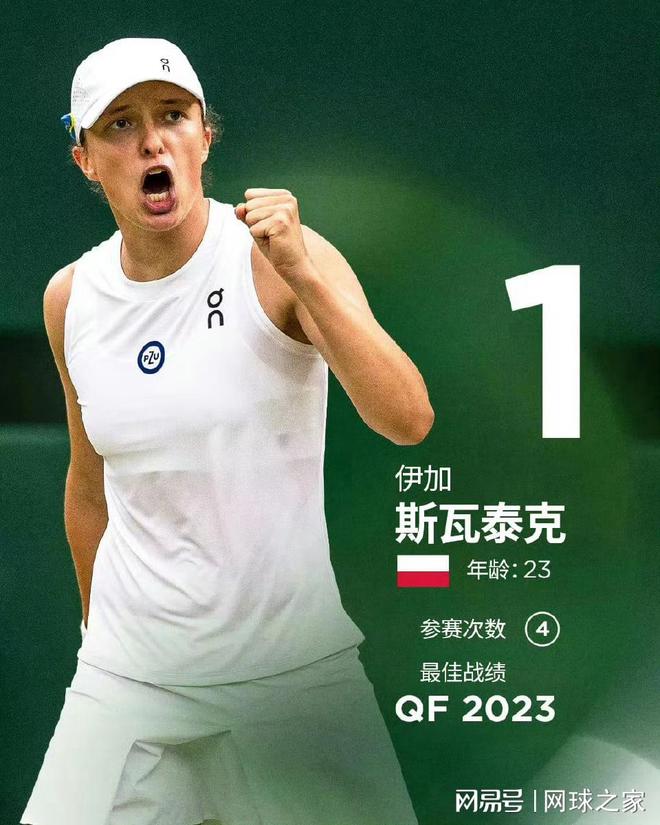 洞察版本走 洞察版本走